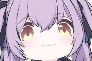 所罗门大海鸥的头像-52纸模网 - 海量纸模型图纸下载