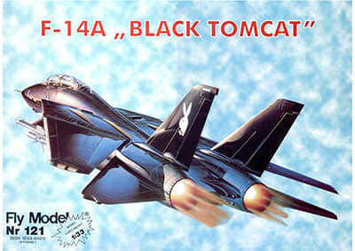[Fly Model 121] F-14 Black Tomcat