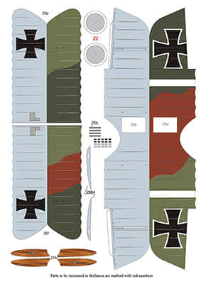 [WAK 2006-08] Albatros D.III – Werner Voss