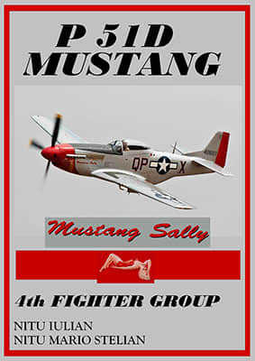 [ModelArt] P-51D Mustang Sally