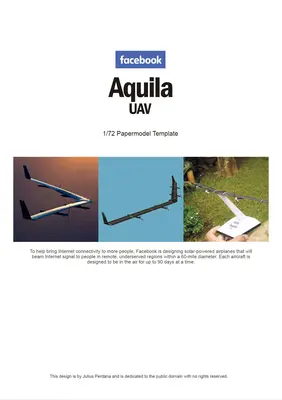 [Paper Replika] Facebook Aquila UAV-52纸模网 - 海量纸模型图纸下载