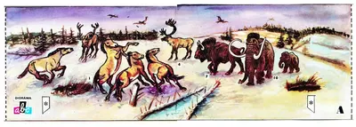 [ABC 1975-10] Central Europe in the Ice Age 25,000 Years Ago-52纸模网 - 海量纸模型图纸下载