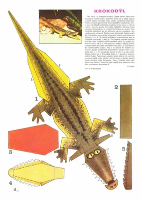 [ABC 1978-10] Crocodile-52纸模网 - 海量纸模型图纸下载