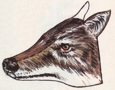 [ABC 1979-13] Wolf Trophy-52纸模网 - 海量纸模型图纸下载